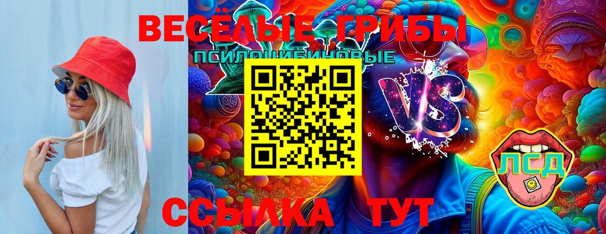 Псилоцибиновые грибы мухоморы  магазин    Полысаево  Вход с VPN 
